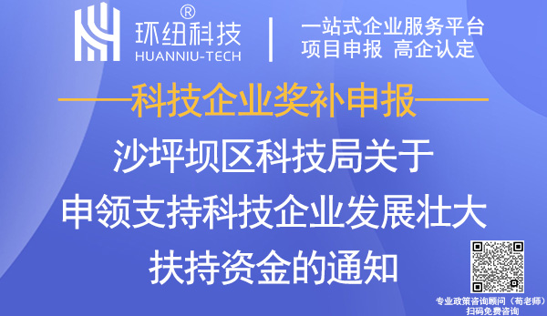 沙坪壩區科技企業扶持資金申領