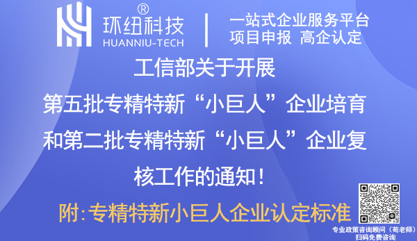 專精特新小巨人企業(yè)培育及復(fù)核