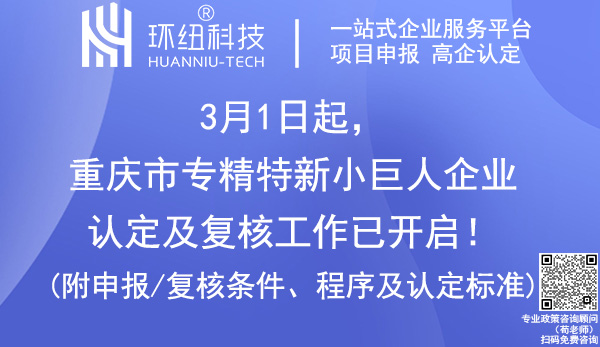 重慶專精特新小巨人認(rèn)定