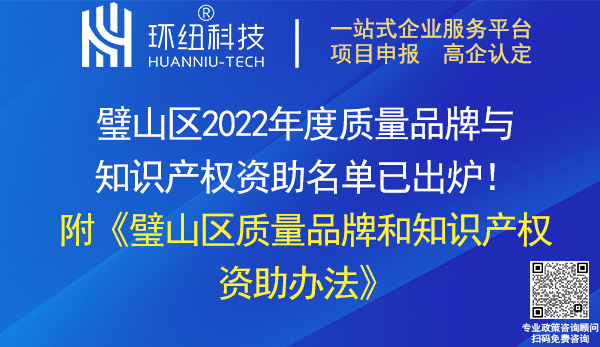 璧山區2022年度知識產權和標準化資助名單