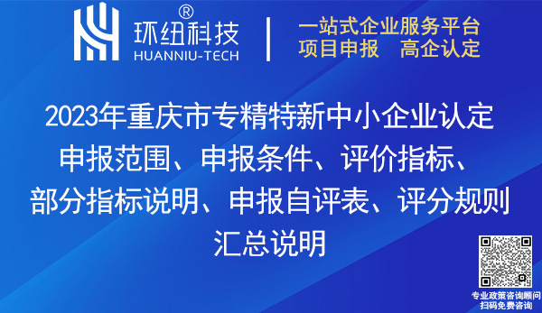 重慶市專精特新中小企業認定