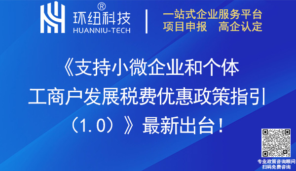 支持小微企業和個體工商戶發展稅費優惠政策指引(1.0)